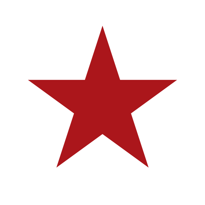 Star Icon